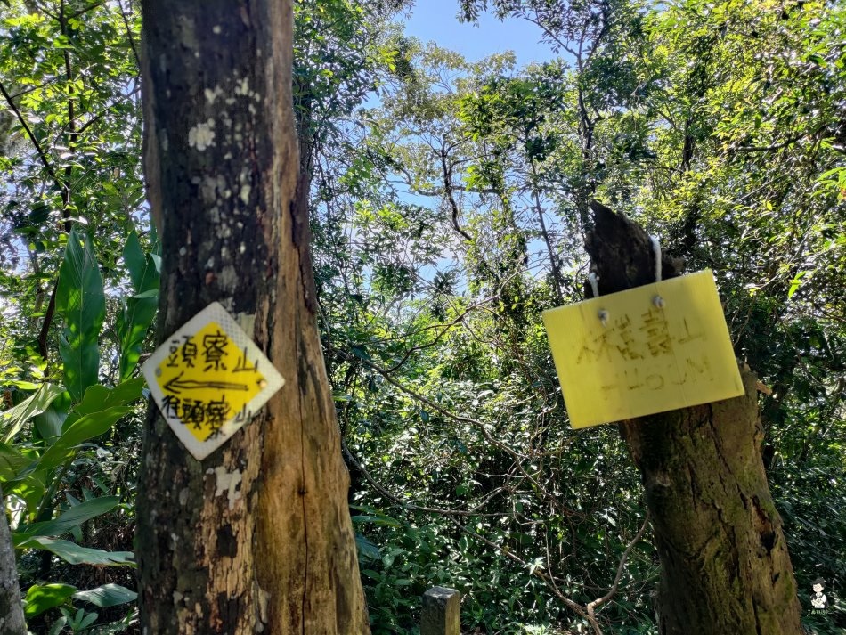 頭寮山 - 56.jpg