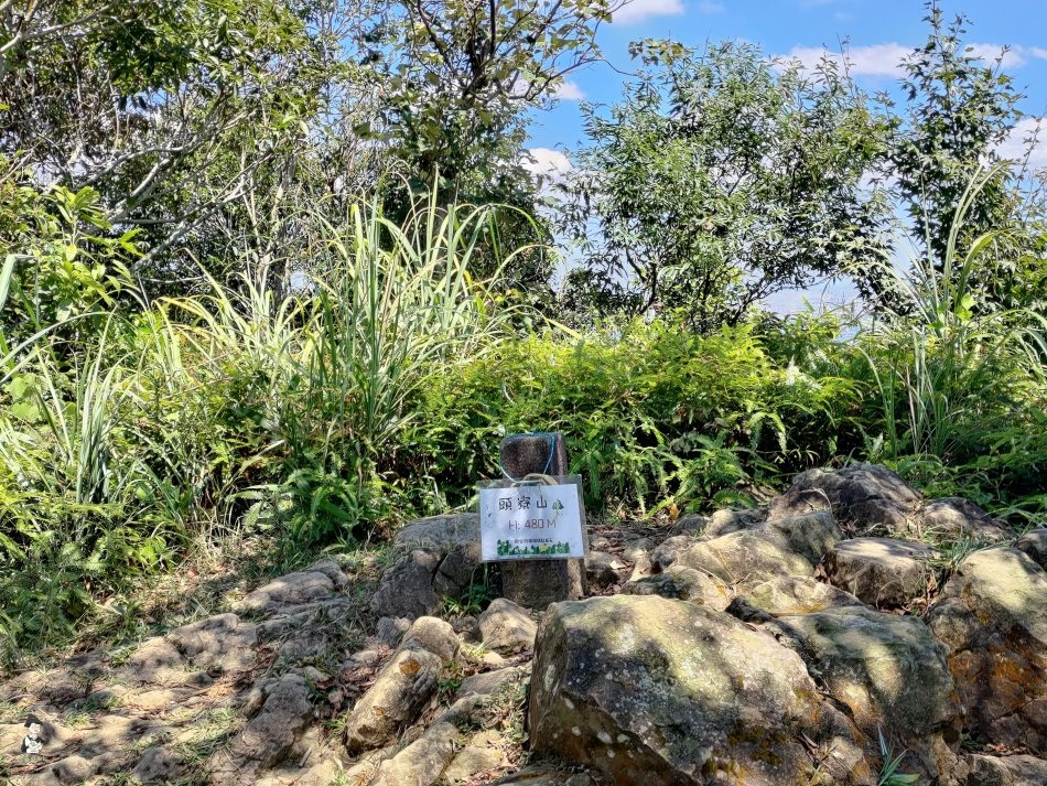 頭寮山 - 81.jpg