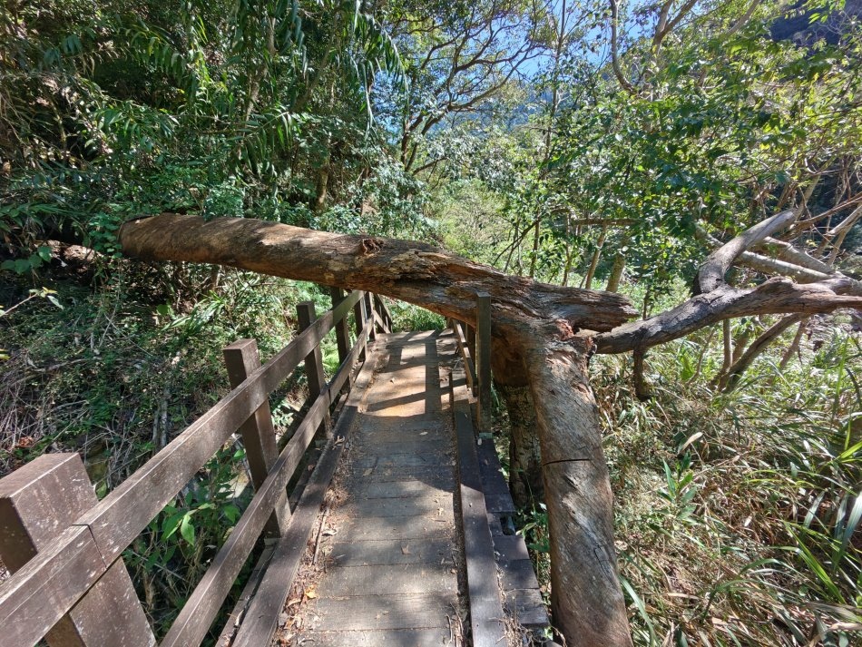 大石門瀑布 - 37.JPG 大石門瀑布 - 37.JPG