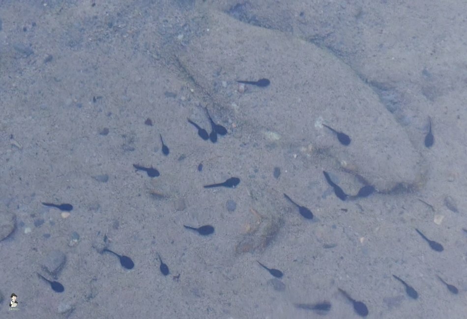 大石門瀑布 - 42.jpg 大石門瀑布 - 42.jpg