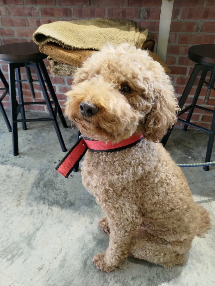 大石門瀑布 - 58.jpg 大石門瀑布 - 58.jpg