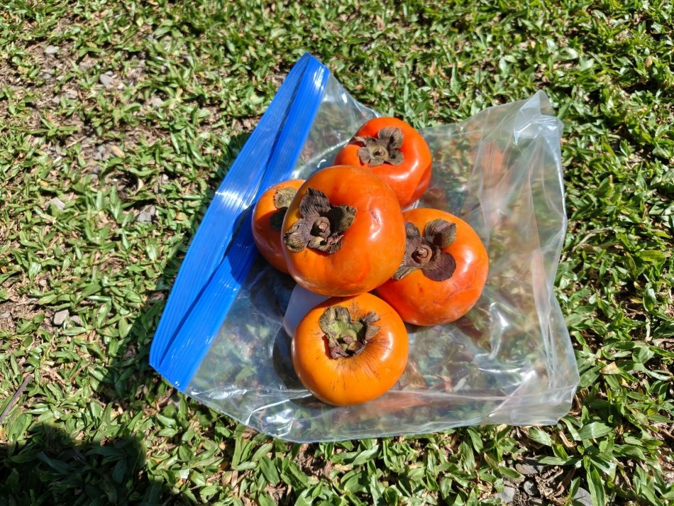 大石門瀑布 - 89.JPG 大石門瀑布 - 89.JPG