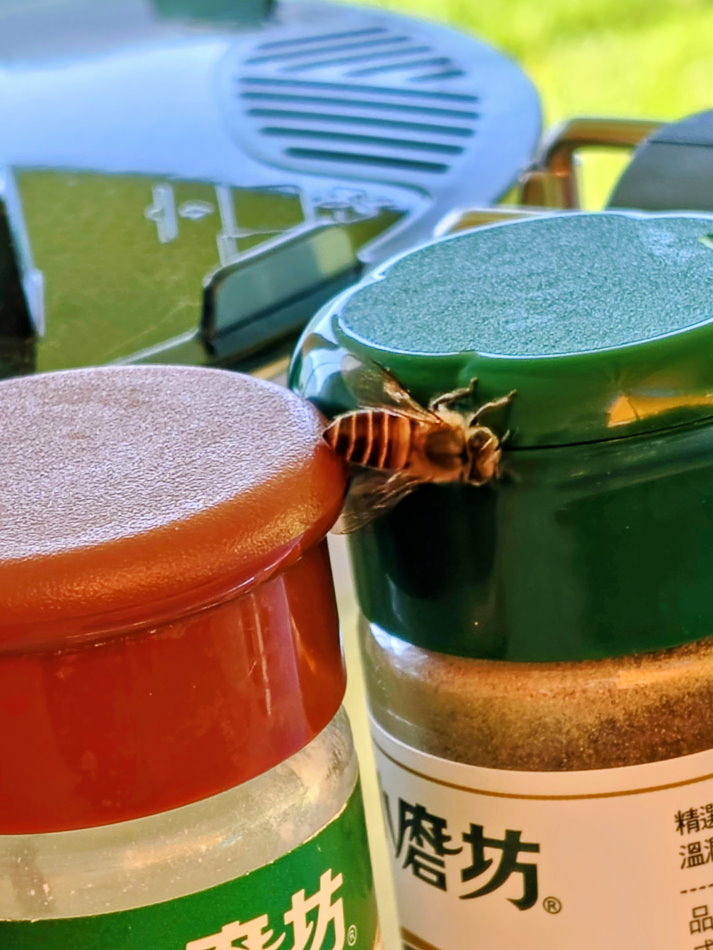 大石門瀑布.五隻小豬露營區 大石門瀑布.五隻小豬露營區