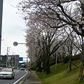 日本街景.jpg
