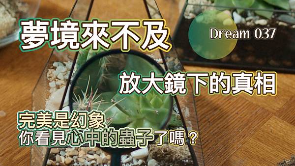 夢的故事沒完，我們繼續！(037 放大鏡下的真相)