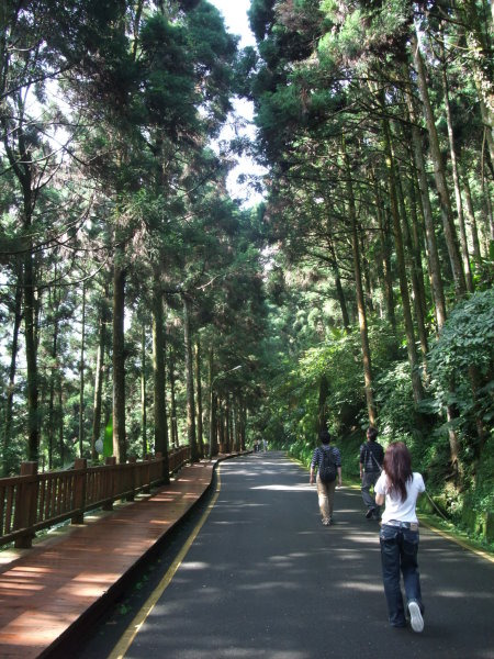 這條路是大學池林道，剛吃過早餐所以悠哉地慢慢走著。