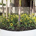 P1111358