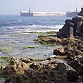 P1131661