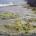 P1131670
