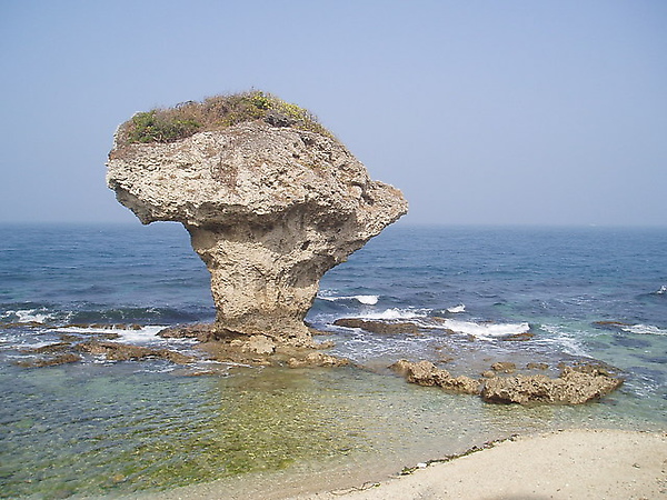 P1131684
