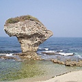 P1131684