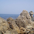 P1131696