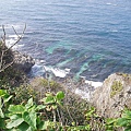 P1131723
