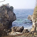 P1131732