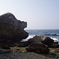 P1131735