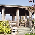 P1131739