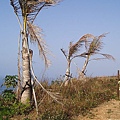 P1131740