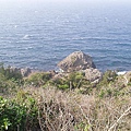 P1131742