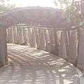 P1131744