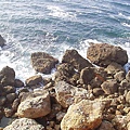 P1131755