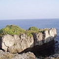 P1131772