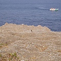 P1131774