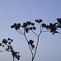 P1131779