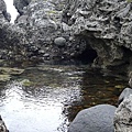 P1130396.jpg