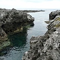 P1130450.jpg