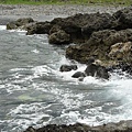 P1130600.jpg