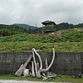 P1130733.jpg