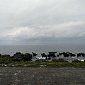 P1130749.jpg
