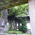 P1130834.jpg