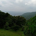 P1130836.jpg