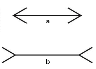 01=Muller Lyer.jpg 01=Muller Lyer.jpg