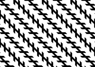 05=zolner-illusion.jpg 05=zolner-illusion.jpg