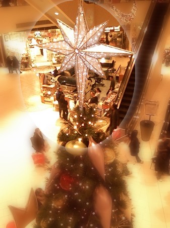01=Tree-Ed.jpg 01=Tree-Ed.jpg