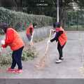 IMG_5773.PNG