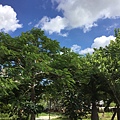 106.7.2環保公園_170705_0001.jpg