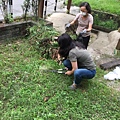 527社區環境清潔公益活動_170705_0027.jpg
