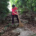 527社區環境清潔公益活動_170705_0036.jpg