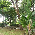 106810公兒六環保公園_170821_0007.jpg