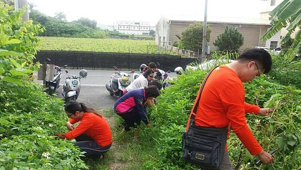 0827大村團委會-清淨家園 活動_170829_0004.jpg