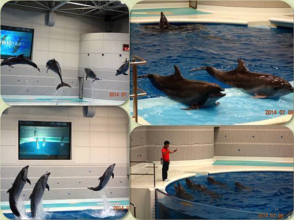 水族館7.jpg