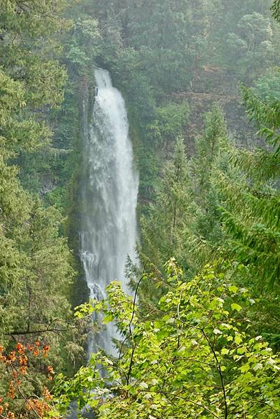 北加州第六天002-DSC00468.jpeg 北加州第六天002-DSC00468.jpeg