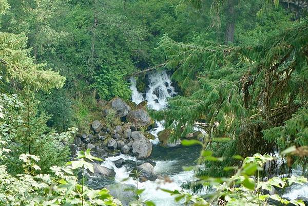 北加州第六天003-DSC00469.jpeg 北加州第六天003-DSC00469.jpeg