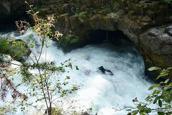 北加州第六天010-DSC00480.jpeg 北加州第六天010-DSC00480.jpeg