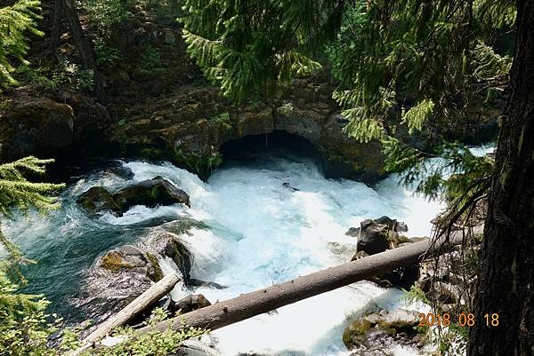 北加州第六天011-DSC00483.jpeg 北加州第六天011-DSC00483.jpeg