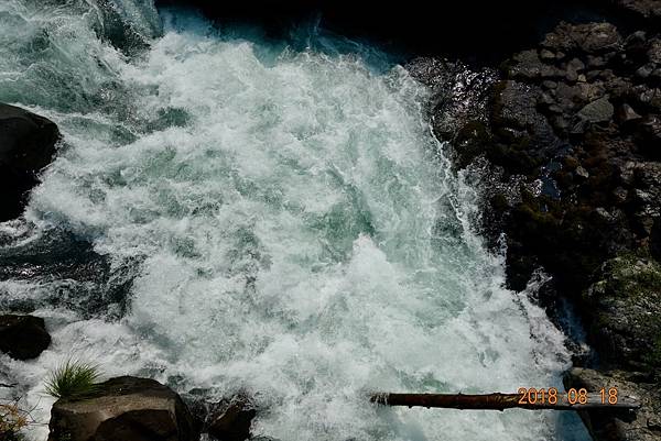 北加州第六天017-DSC00490.jpeg 北加州第六天017-DSC00490.jpeg