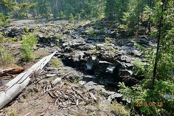 北加州第六天014-DSC00487.jpeg 北加州第六天014-DSC00487.jpeg